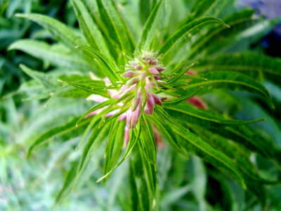 P7280088