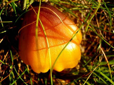 P7280115