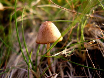 P7300029
