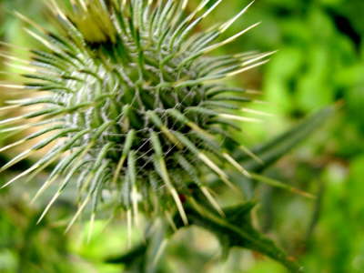 P8050058