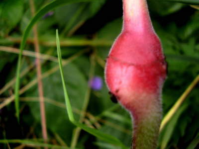 P8050062