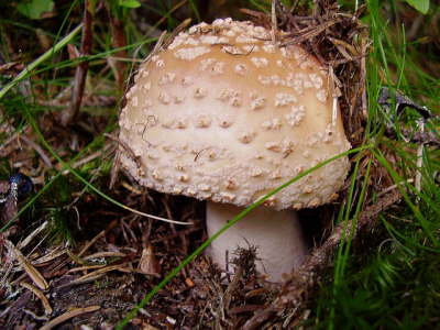 P8270005
