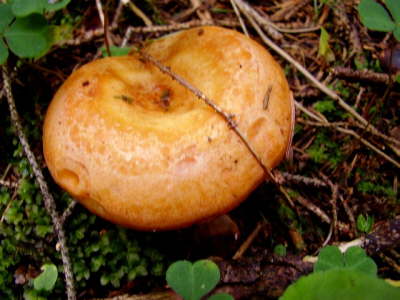 P8270111